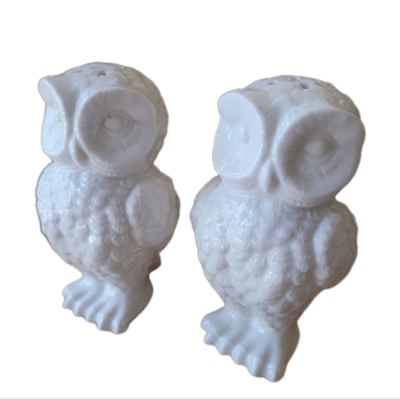 unbranded Other - White Ceramic Owl Salt and Pepper Larger Shaker Set